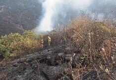 Ejecutivo solicita al Congreso aprobar ley para prevenir incendios forestales