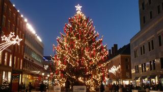 El árbol de Navidad, más que un adorno, un alivio para el medioambiente