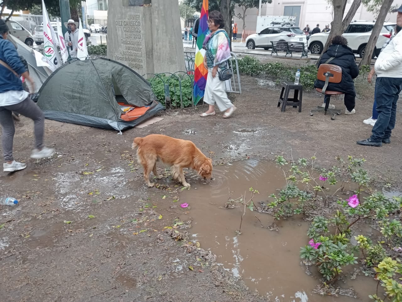 Municipalidad de Jesús María argumentó que riego en parque respondió a labores de mantenimiento. Foto: teleSUR