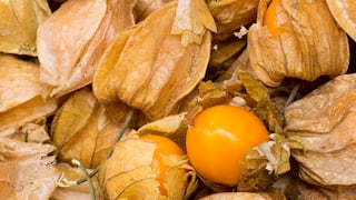 Agroandino se prepara para exportar aguaymanto orgánico a EE.UU. en 2025