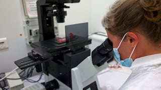 Francia identifica una nueva variante de COVID denominada IHU: con más mutaciones que ómicron