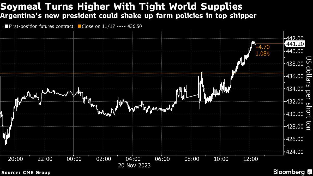 La harina de soja sube con escasez de suministros mundiales | El nuevo presidente de Argentina podría sacudir las políticas agrícolas en el principal exportador