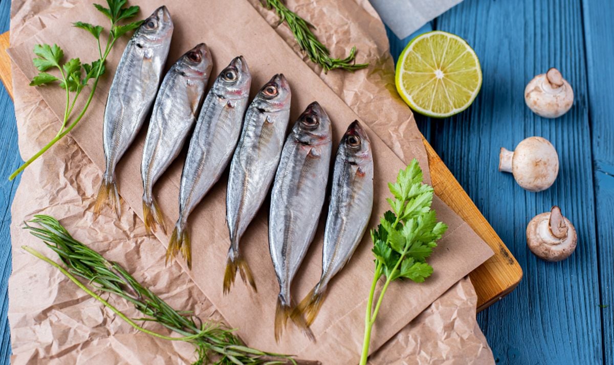 29 de marzo del 2011. Hace 15 años. El último reporte del Ministerio de Agricultura revela que se ha encarecido el jurel, por los minoristas, ya que lo compran a los mayoristas en S/. 5 el kilo.