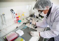 Congreso propone crear el Ministerio de Ciencias: ¿cerrará la brecha de innovación?