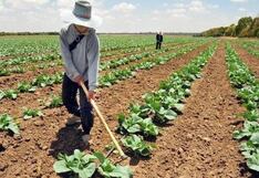 CCL: subirían costos de importaciones peruanas de soya y maíz argentinas