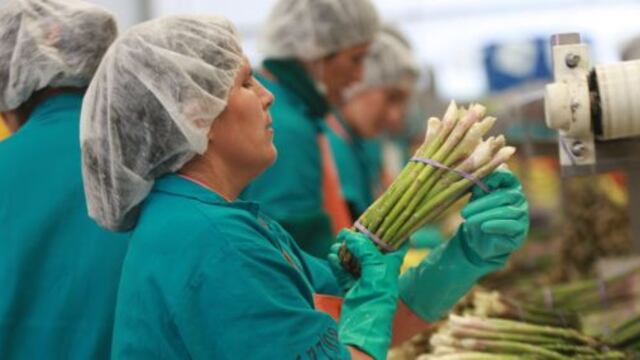 Minagri: Agroexportaciones crecieron 21.4% en los primeros ochos meses del año