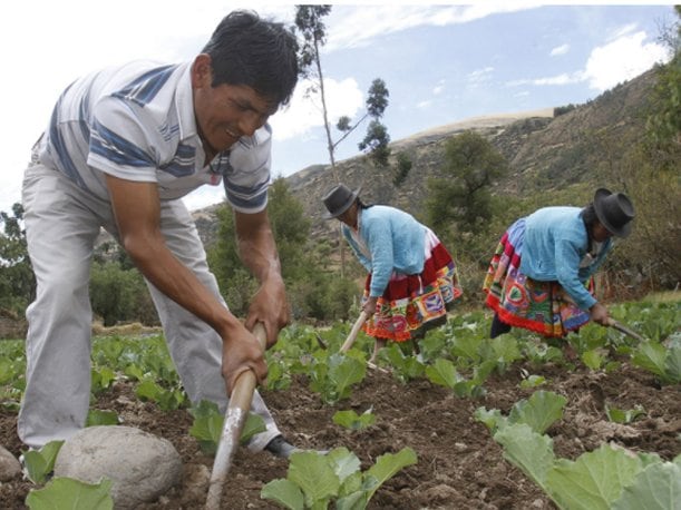 Los efectos del Fenómeno de El Niño ya comienzan a generar preocupación entre los gremios agrarios. (Foto: Andina)