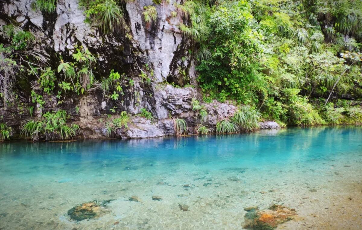 Las pozas de agua salada se encuentran en Pozuzo. Foto: Difusión