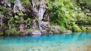 Feriado Largo: cinco paquetes solicitados para viajes