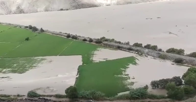 Las menores cosechas dieron como resultado una contracción de 12% en el subsector agrícola. (Foto: Difusión)