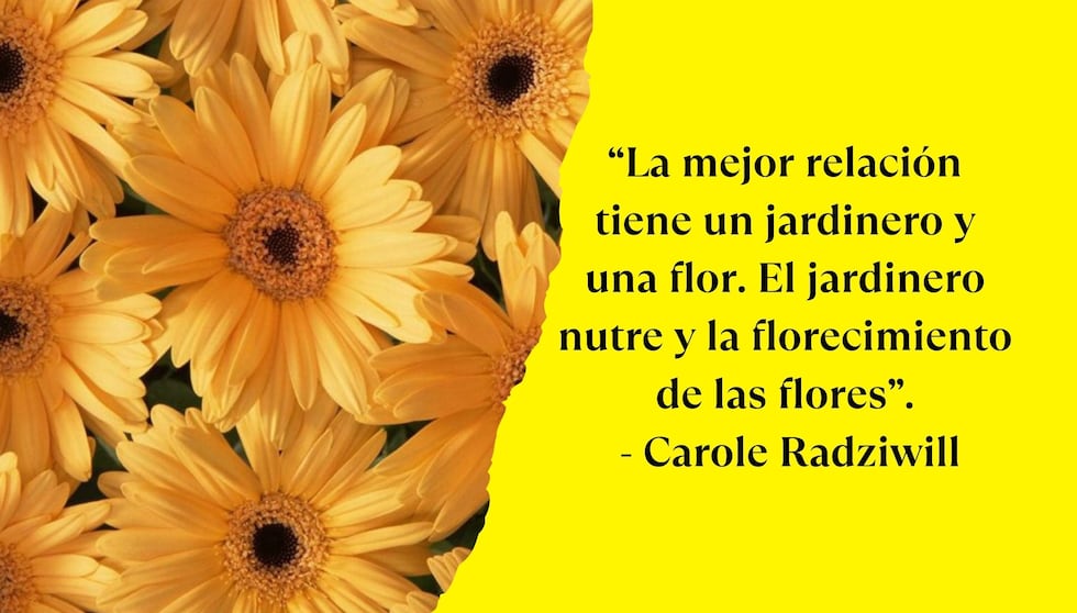 “La mejor relación tiene un jardinero y una flor. El jardinero nutre y la florecimiento de las flores”. - Carole Radziwill | Foto de Pinterest.