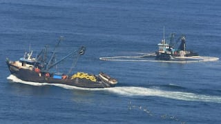 Suspensiones temporales de pesca evitaron captura de 205 mil toneladas de anchovetas juveniles