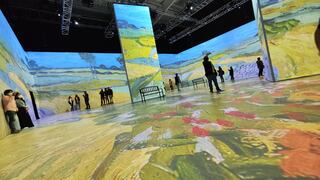 Una experiencia “multisensorial” para conocer al verdadero Van Gogh