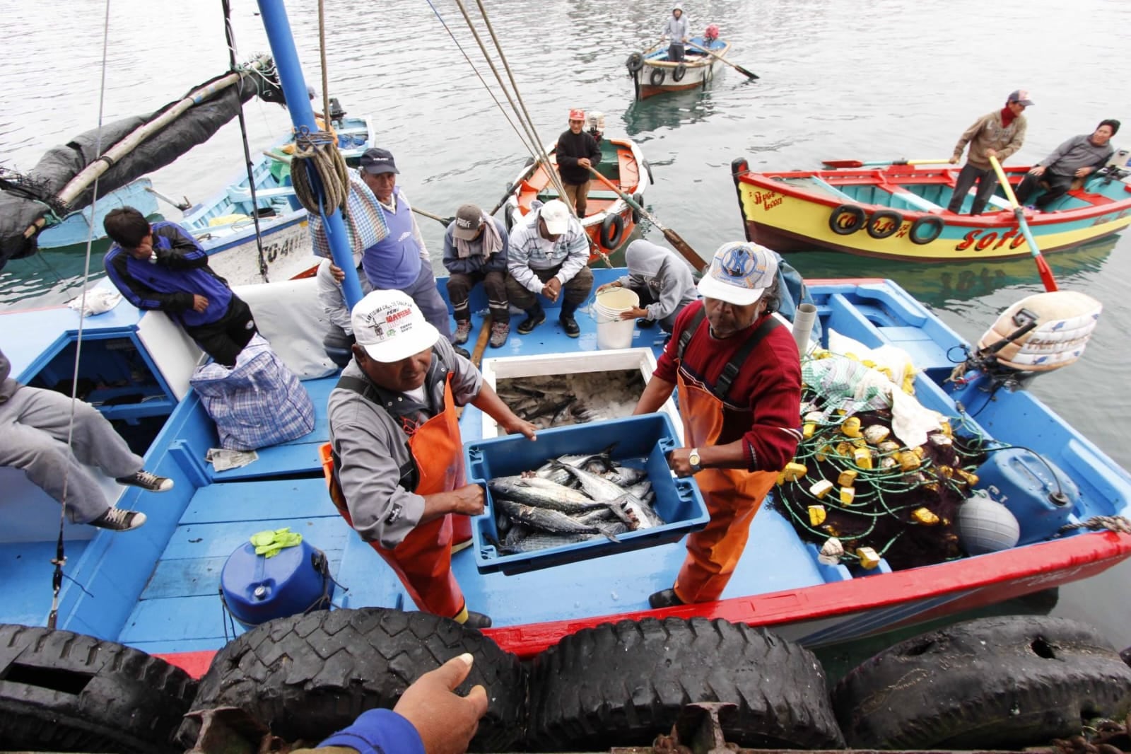 El rubro con peor registro en junio fue pesca al marcar un retroceso de más de 51%. | Produce