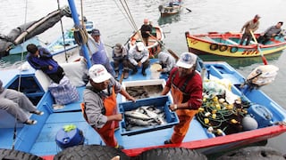 ¿Fujimori reducirá ministerios?: plan de Gobierno considera reactivar el de Pesca, ¿y el resto?