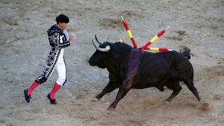 Bogotá consultará a ciudadanos si están de acuerdo o no con las corridas de toros