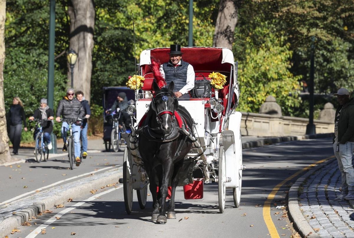 Gran cantidad de visitantes paseaban en carruajes tirados por caballos en Nueva York (Foto: EFE)
