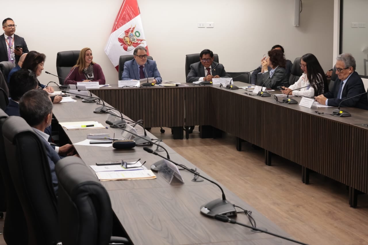 La comisión, además, aprobó por su Plan de Trabajo para el periodo 2026-2027, el cual guiará sus funciones legislativas, de fiscalización política y de representación. Foto: Congreso