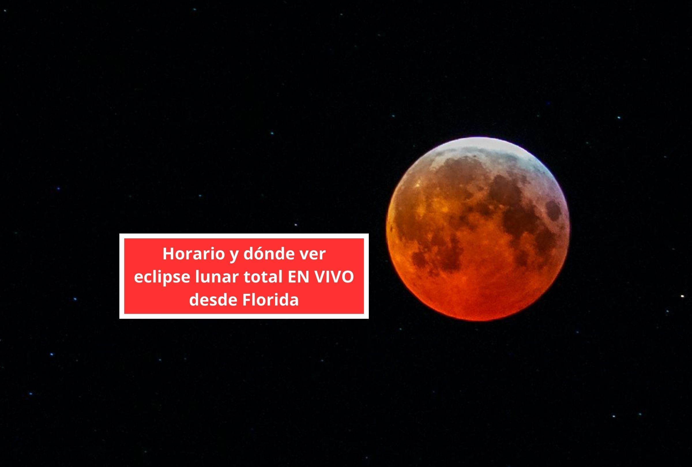 En esta nota podrás conocer el horario y cómo ver eclipse lunar total EN VIVO desde Florida este 3 de marzo de 2026. (Foto: astesmedia / Pexels y Composición Gestión Mix)