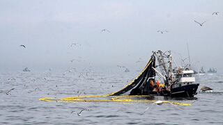 Pesca: Biomasa de anchoveta asciende a 10.86 millones de toneladas, la más alta en 24 años