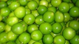 Ministro de Agricultura ante falta de limón: "Dejaremos de comer cebiche"