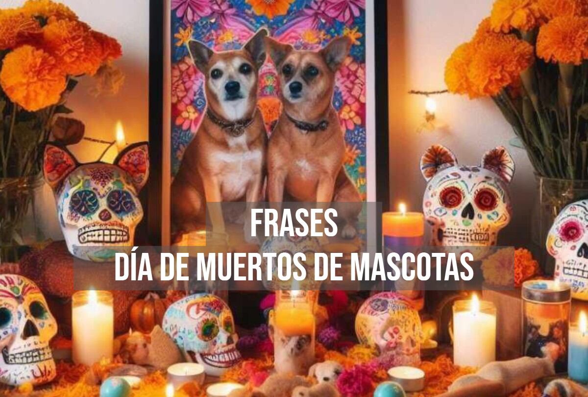 El 27 de Octubre se celebra el Día de Muertos de las Mascotas. (Sanju Pineda)
