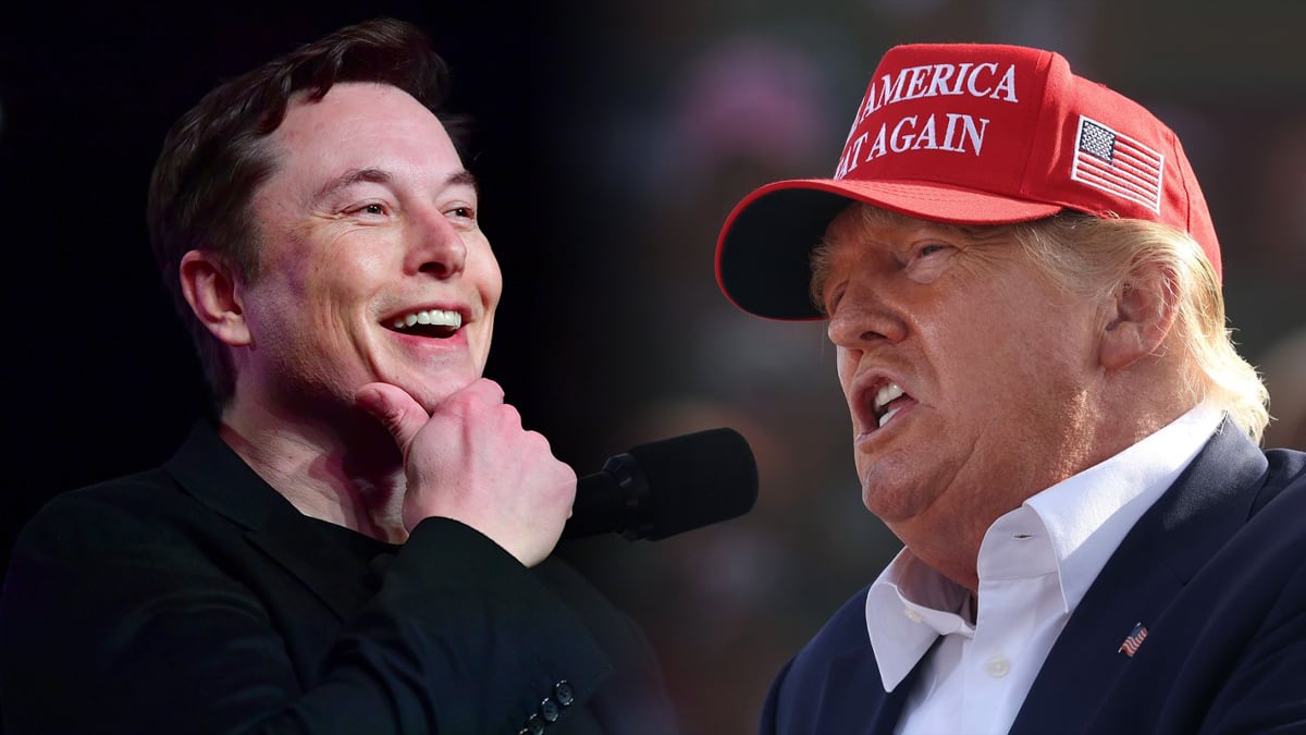 Elon Musk permitirá el regreso de Donald Trump a Twitter. | Composición: AFP