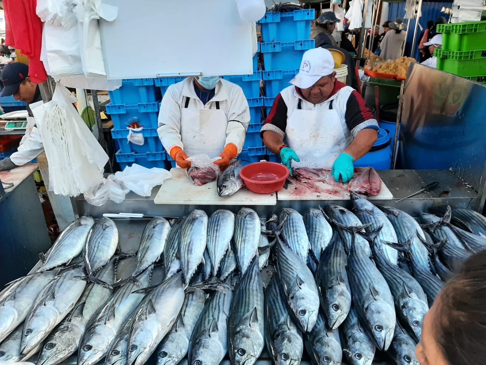 Terminal pesquero Río Seco. Foto: GEC.