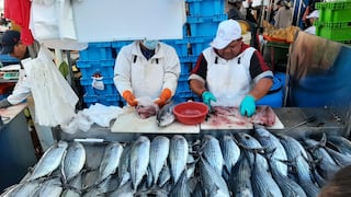 Produce: consumo de pescado en Semana Santa superó las expectativas