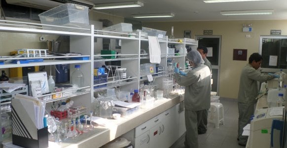 Multilatina detrás de Vitapharma busca convertir planta de Lurín en hub de producción andina
