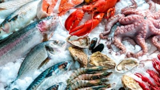 Exportadora de productos pesqueros apunta a fortalecer presencia en países de la región