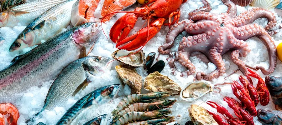 Ipsar impulsa envíos de pesca no tradicional a diferentes destinos. (Foto: Web de Ipsar)