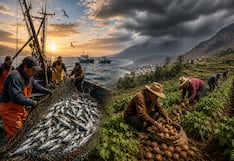 Pesca y agro ante El Niño: el panorama sombrío para las proyecciones del 2026