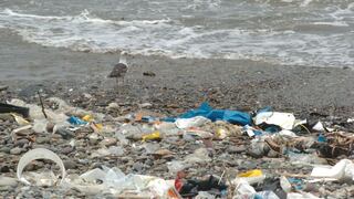 Contaminación por microplásticos en el litoral peruano aún es baja, asegura Imarpe