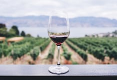 El legado incombustible del Cabernet Sauvignon en el negocio, la mesa y el tiempo