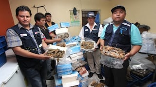 Produce decomisa más de 850 kilos de camarón de río en vivienda de Villa María del Triunfo