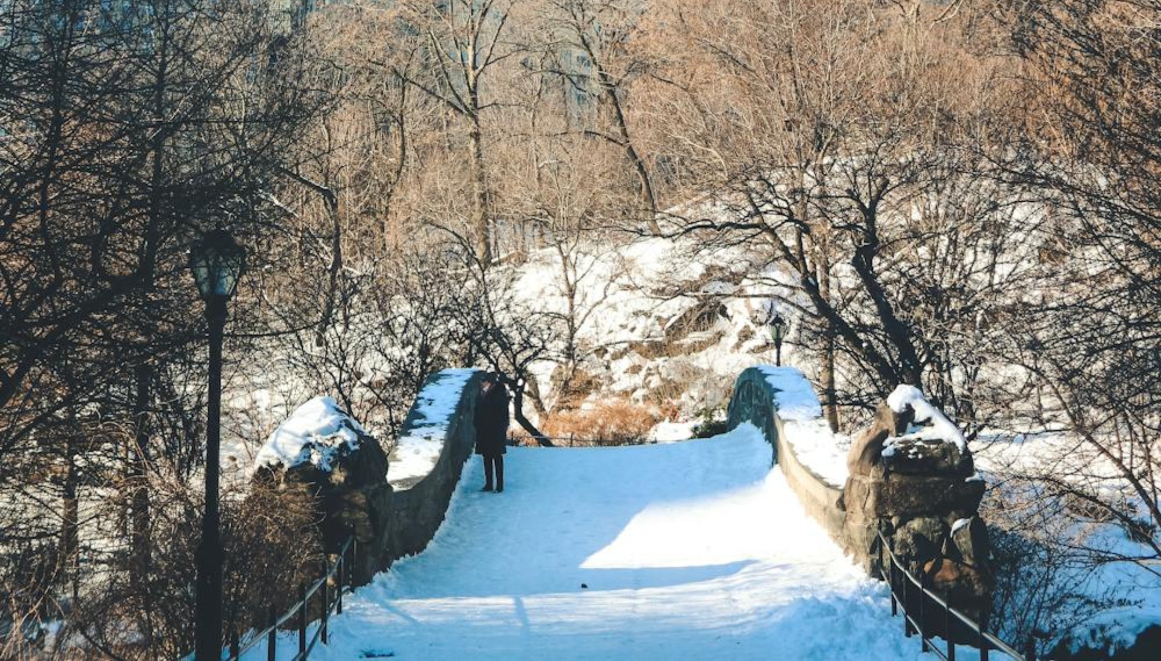 El otoño comienza oficialmente el 22 de septiembre. Nueva York siempre tiene nieve a partir de este mes (Foto: Pexels)