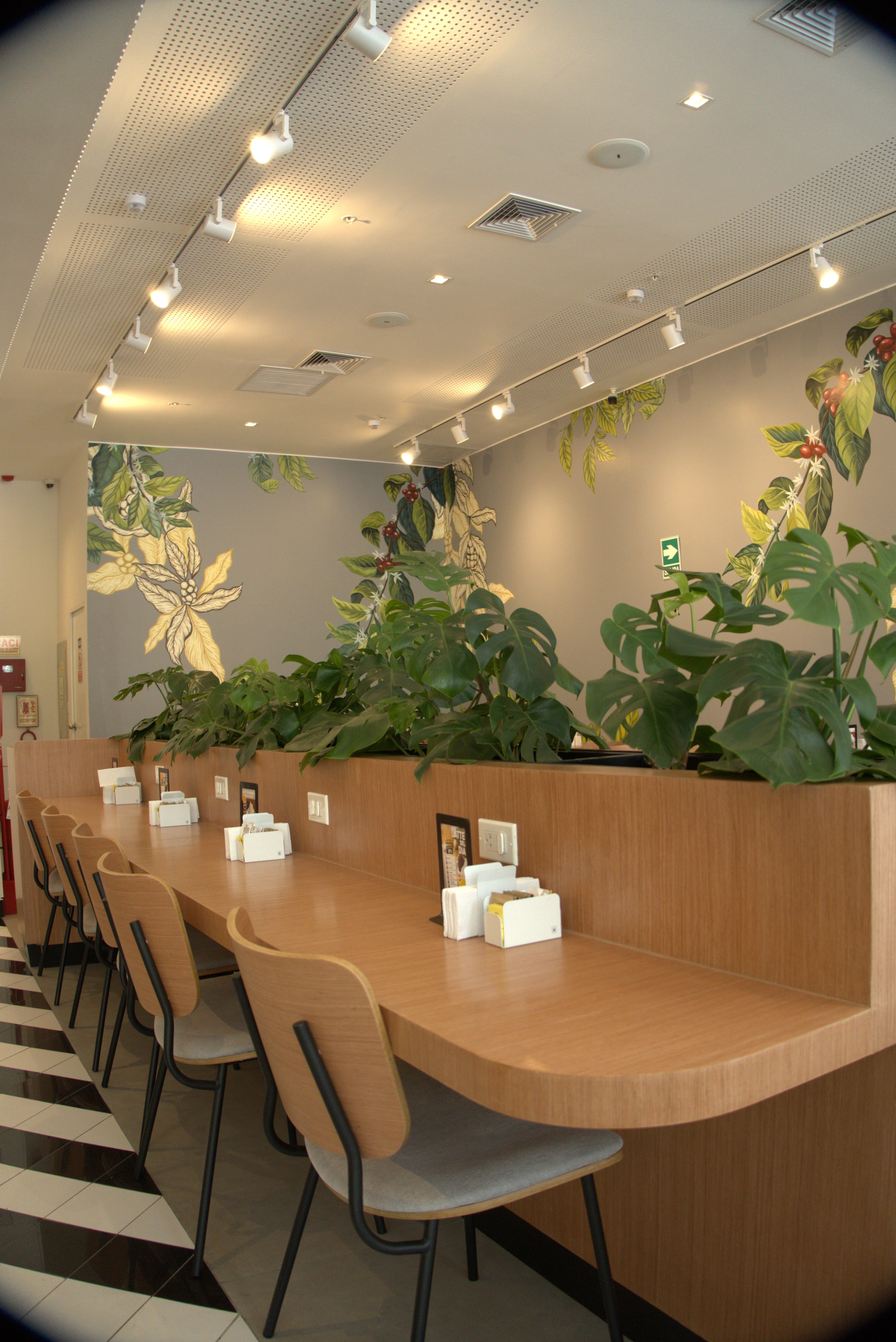 El CEO reconoce que el año electoral puede generar incertidumbre, pero mantiene la meta. (Foto: Havanna Perú)