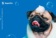 Club de Suscriptores: engríe a tu mascota con los beneficios de Superpet