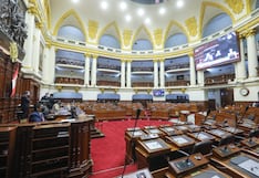 El verdadero voto decisivo es el parlamentario: ¿cómo votar?