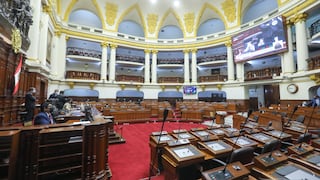 El verdadero voto decisivo es el parlamentario: ¿cómo votar?