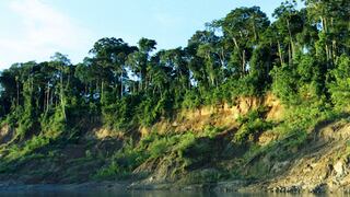 Parque Nacional del Manu impone nuevo récord de biodiversidad