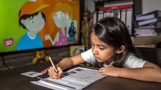 Defensoría del Pueblo: La información que incluirá la Ficha Única de Matrícula