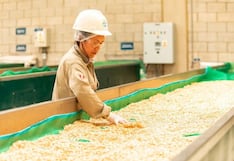 Bayer Vegetables Perú apuesta por semillas para venta a India: este es el fruto