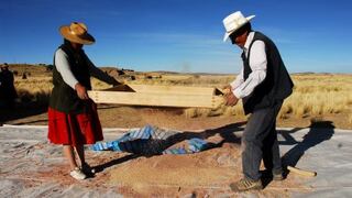 ¿Qué hicieron la OIT, FAO y Unesco para apoyar a la quinua del Perú y a sus productores?