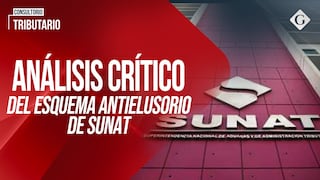 Análisis crítico del esquema antielusorio de Sunat
