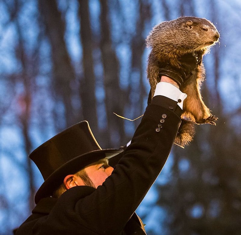 El Día de la Marmota se celebra a inicios de febrero (Foto: U.S. Consulate Monterrey / Facebook)