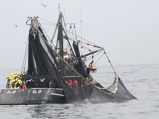 Sector pesquero. (Foto: Agencia Andina)