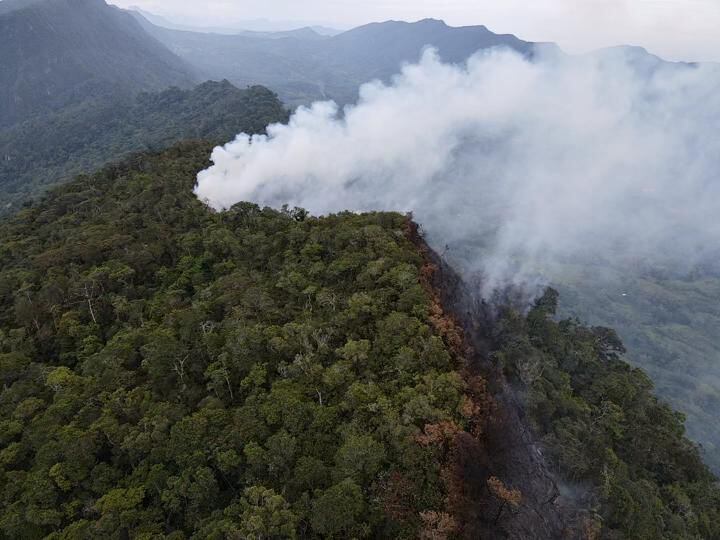"El futuro de la Amazonía depende de una acción conjunta entre los sectores público y privado". (Foto: Referencial)