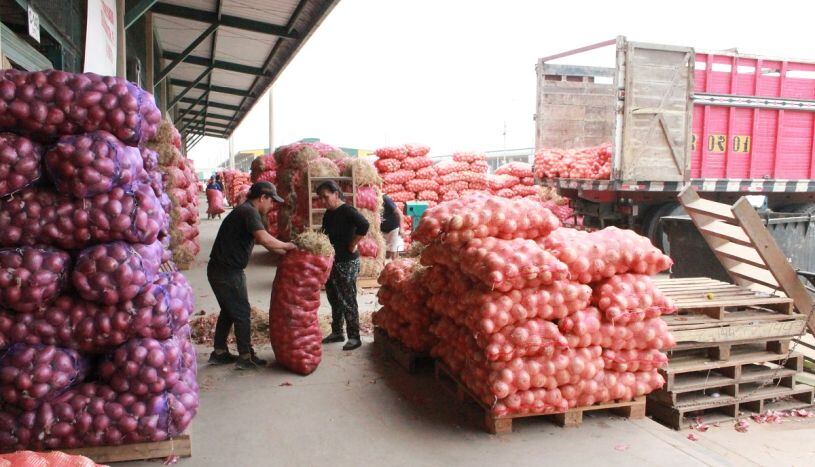 transporte de carga (Foto: Difusión)